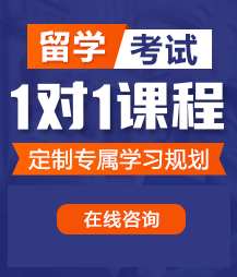 外国大鸡吧操屄免费视频留学考试一对一精品课